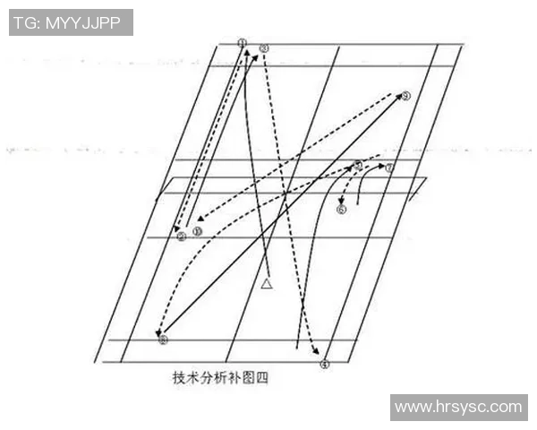 杭州羽毛球队战术表现深度数据分析与策略优化研究
